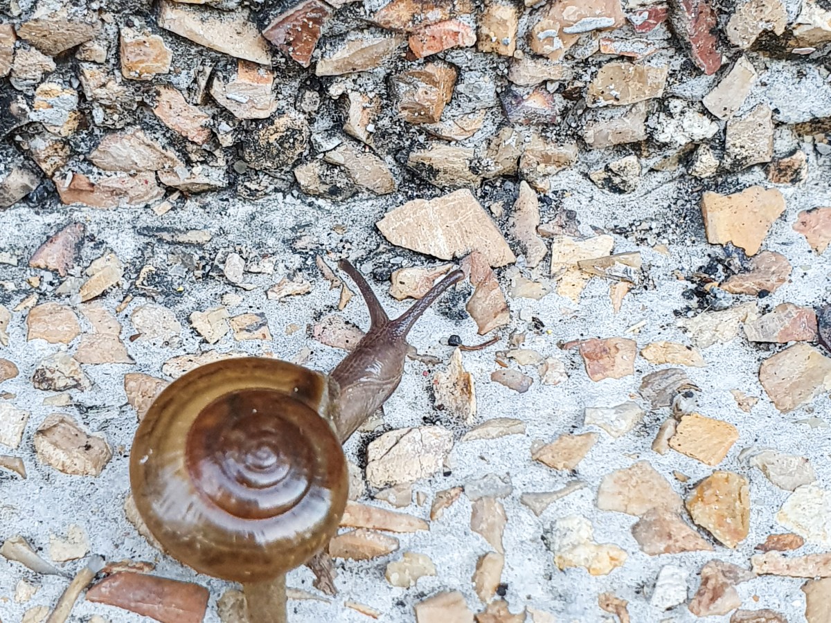 Day 16 – Slow, Ardous and&nbsp;Tedious