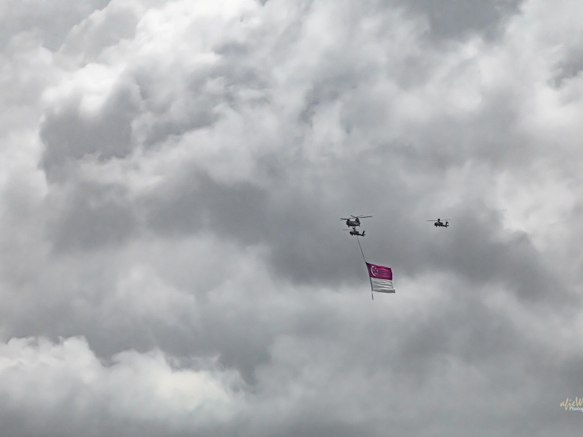 Happy 55 Birthday&nbsp;Singapore!