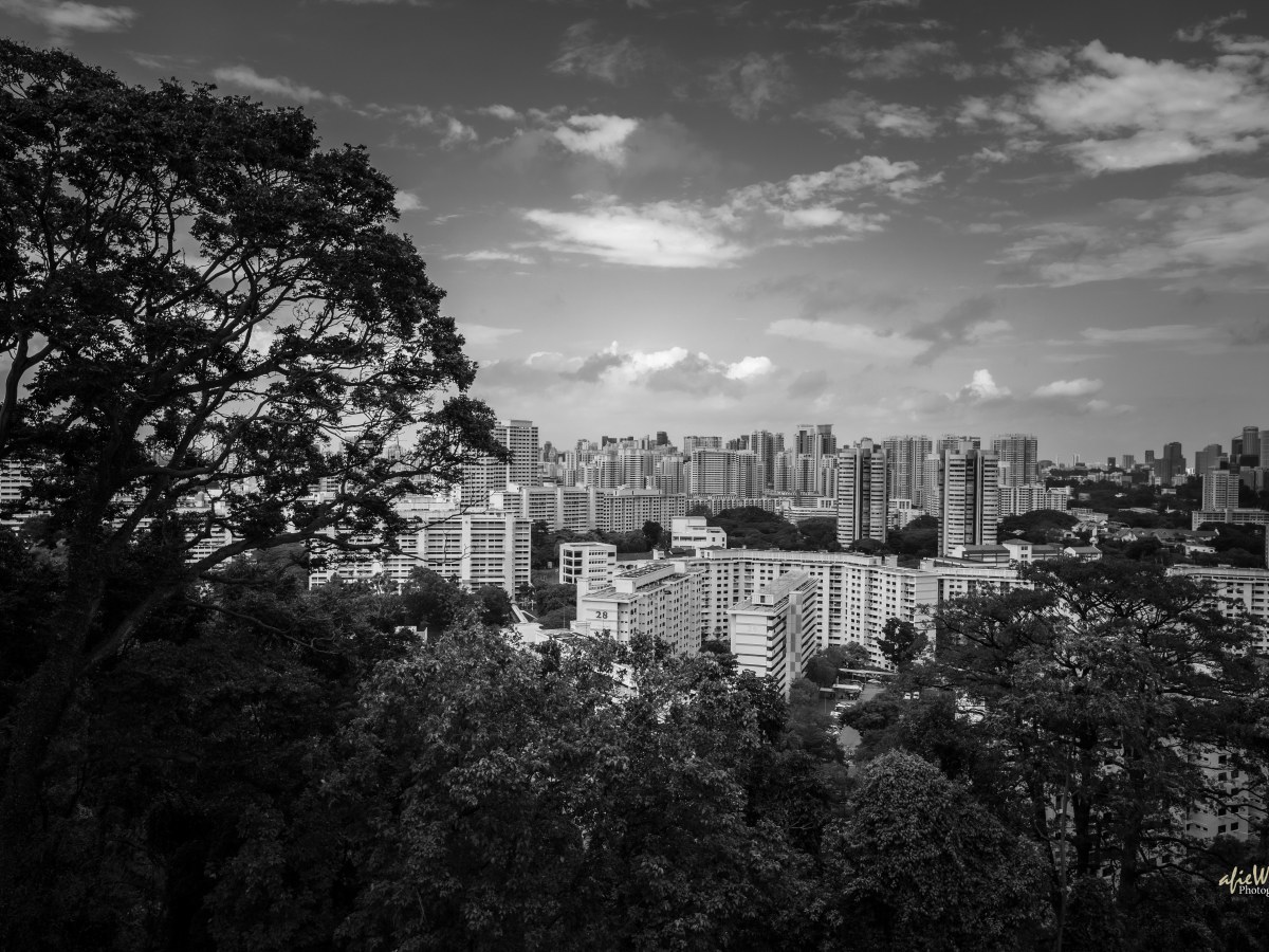 CNY21 @ Southern&nbsp;Waterfront